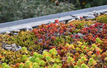 the cost of Guide Bridge green roof installation